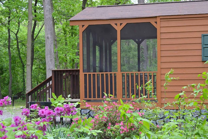 Comfort Cottage-11